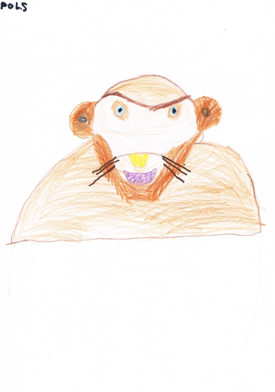 monkey (2)