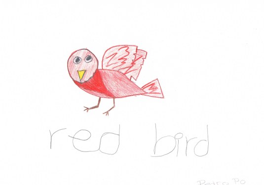 red bird